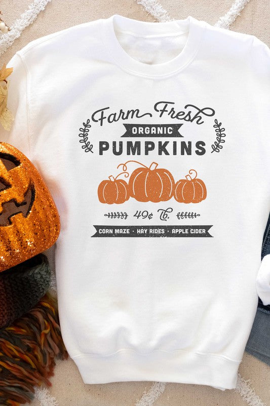 Farm Fresh Pumpkins Sweatshirt (PLUS)