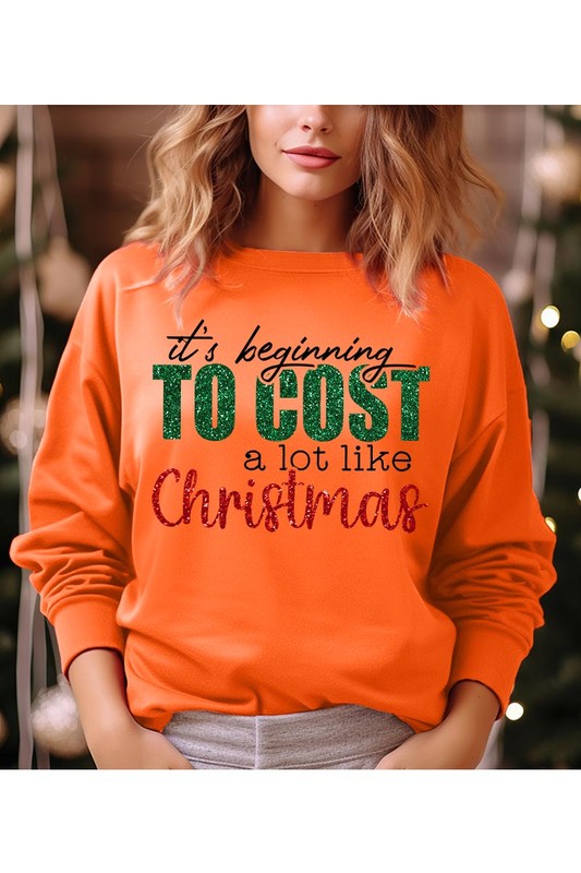 It's Beginning to Cost Sweatshirt (REG)