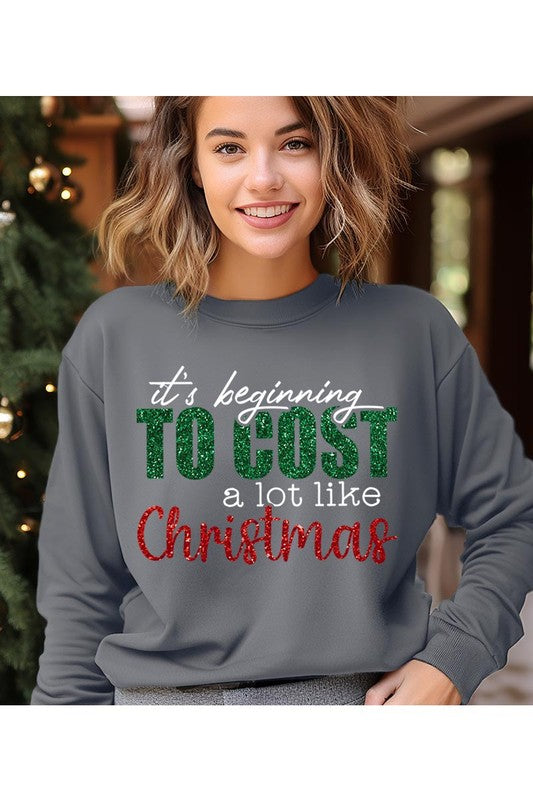 It's Beginning to Cost Sweatshirt (REG)