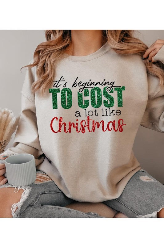 It's Beginning to Cost Sweatshirt (REG)