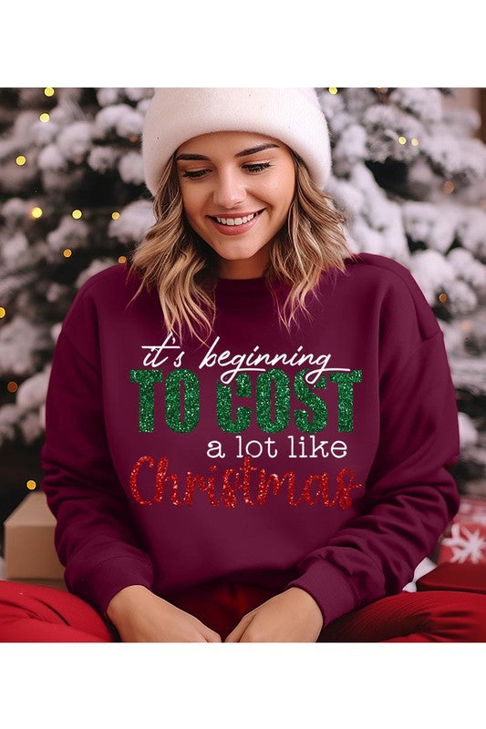 It's Beginning to Cost Sweatshirt (REG)