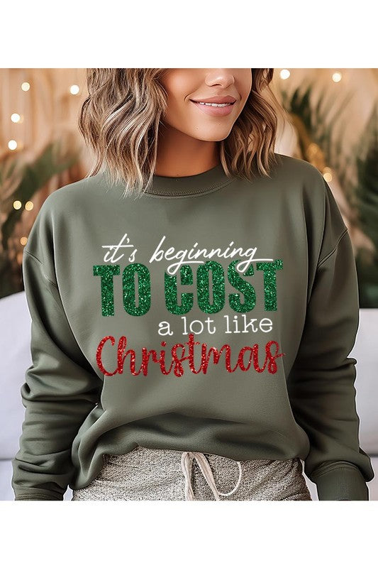 It's Beginning to Cost Sweatshirt (REG)