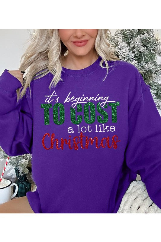 It's Beginning to Cost Sweatshirt (REG)