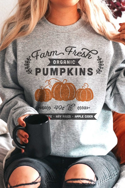 Farm Fresh Pumpkins Sweatshirt (PLUS)