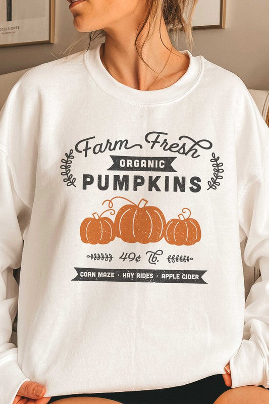 Farm Fresh Pumpkins Sweatshirt (PLUS)