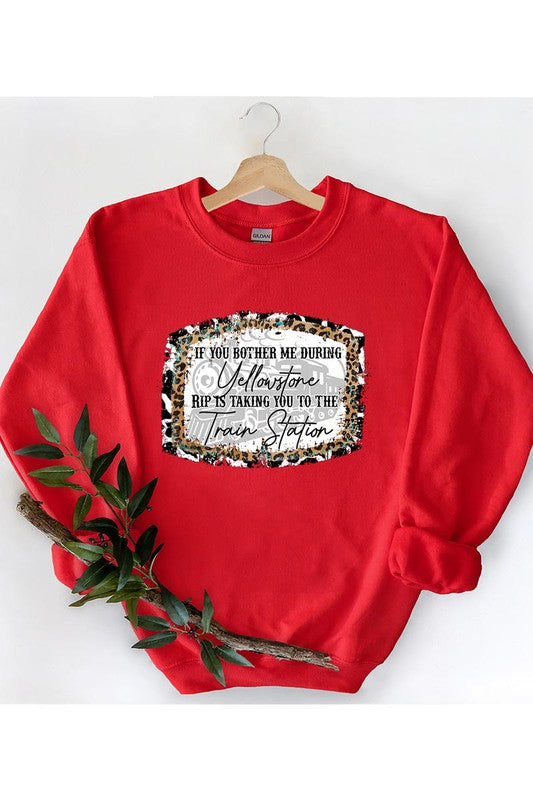 Don't Bother Me Sweatshirt (REG)