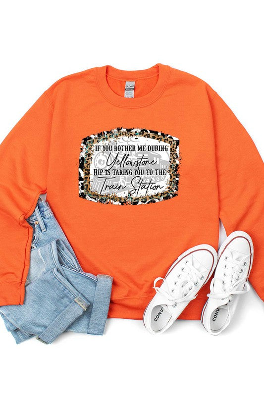 Don't Bother Me Sweatshirt (REG)